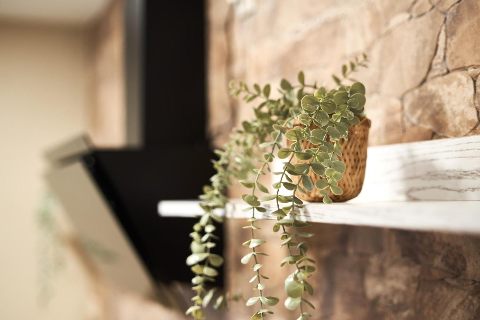 Casa Rural El Paloteo Σεγκόβια Εξωτερικό φωτογραφία